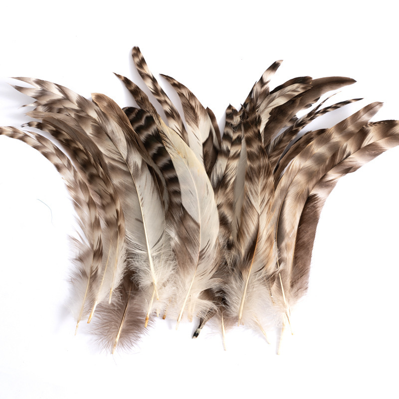 Reed flower tail 20-25cm50 root