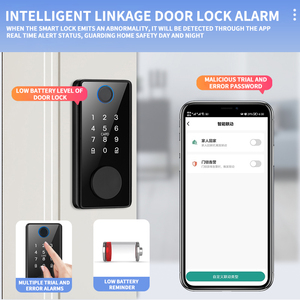 Ds01 khóa chốt khóa tuya App Bluetooth thay thế chốt cửa nhà thông minh ngón tay in khóa kỹ thuật số khóa - Product Image 3