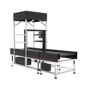 Dws con sistema de seguimiento y seguimiento de paquetes, Correa dinámica, clasificación de peso, bolsa clasificada logística, fabricantes de correo, máquina transportadora de clasificación - Product Image 2