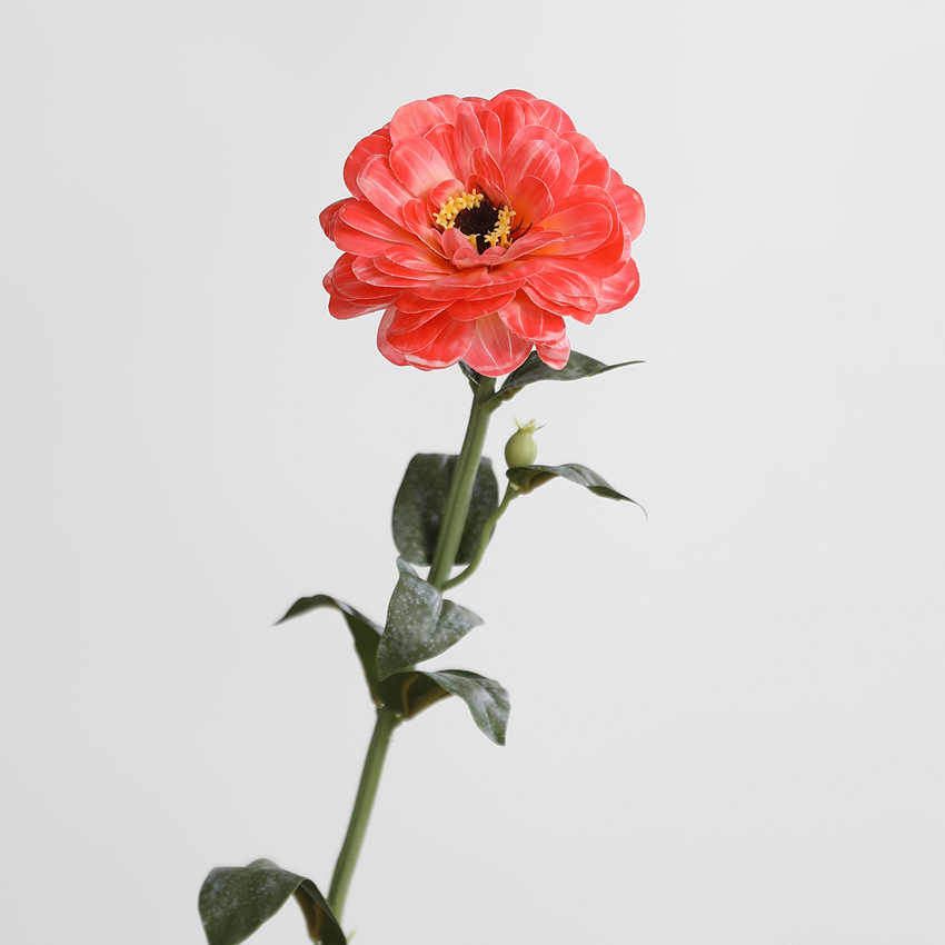 Orange rouge