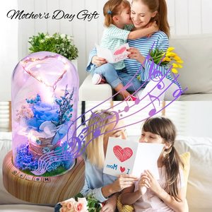 Özel yeni yenilikçi ürünler isteyen flama şişe ölümsüz çiçek hoparlör sevgililer günü hediye Led gece lambası masa lambası - Product Image 2