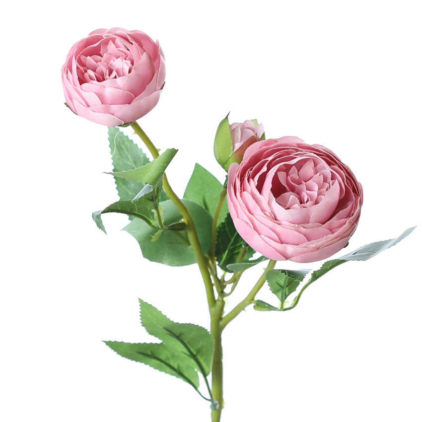 แป้งรากบัว