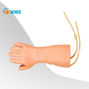 Medical Teaching <strong>Human</strong> Medical Intravenous Injection Training Hand Model for Nurse Training - Product Image 1