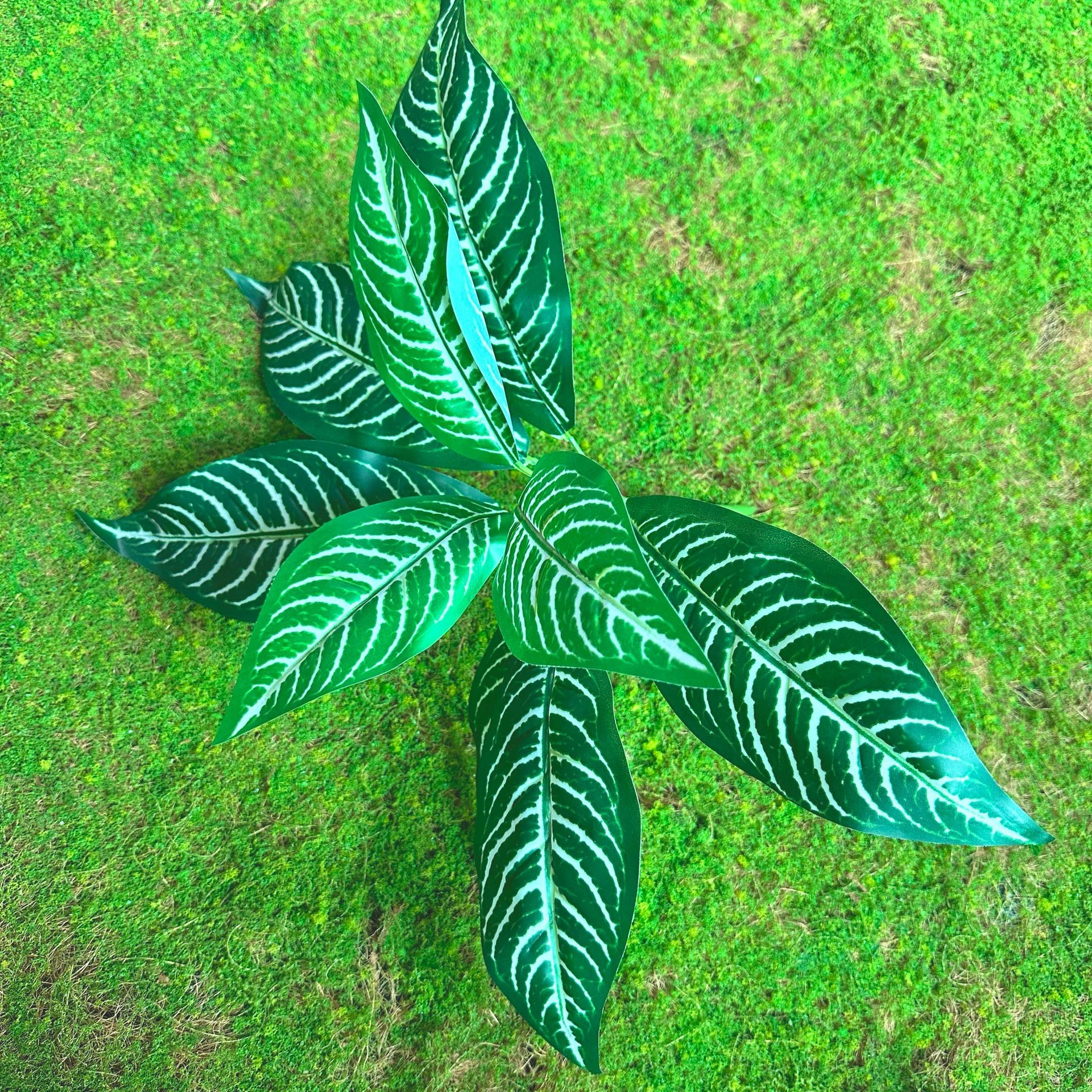 Green 14#