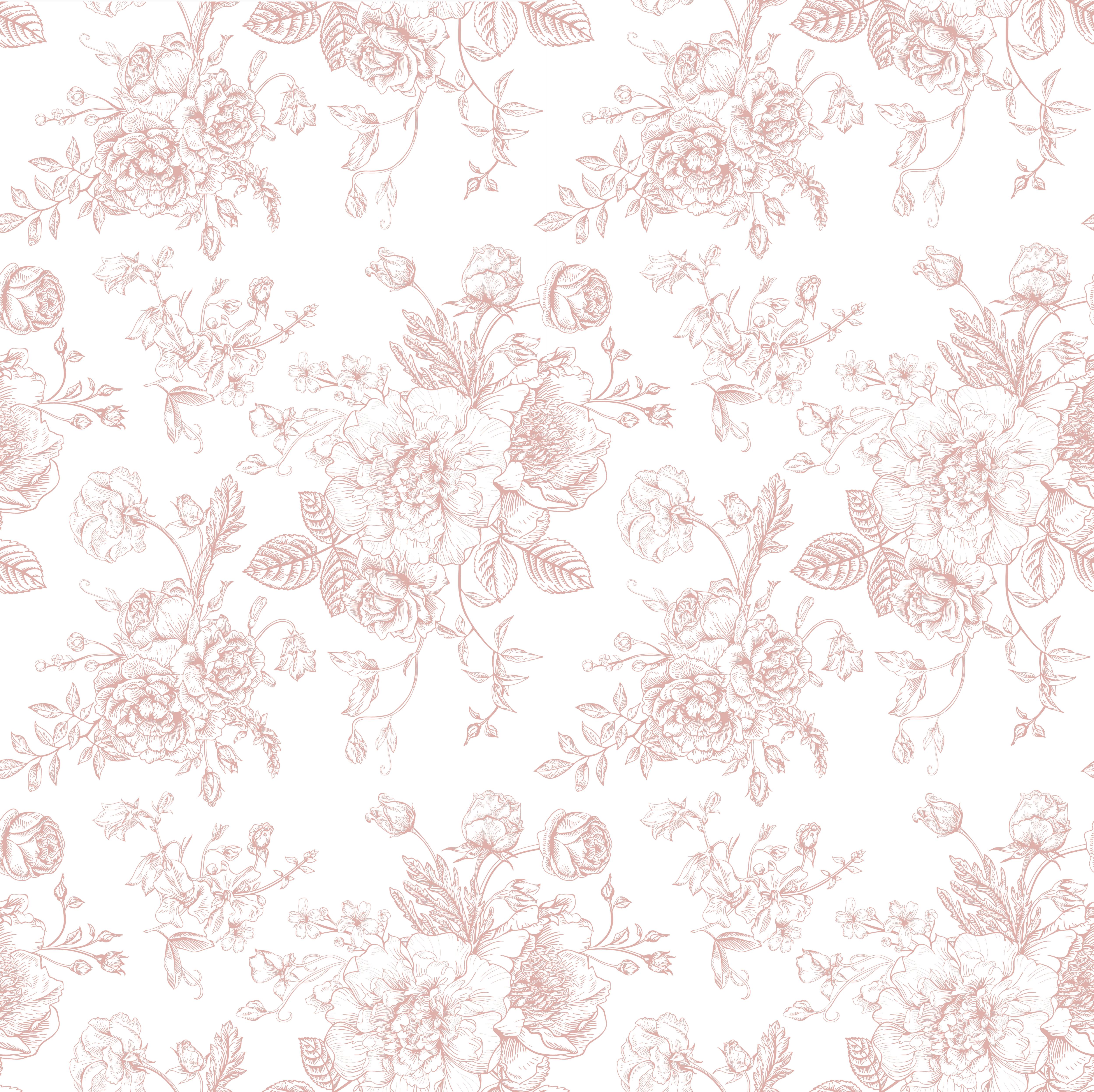 rosa2