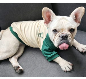 İlkbahar sonbahar yaz evcil hayvan giysileri büyük küçük köpek Pet giysi eşleştirme köpek ve anne sahibi köpek Pet insan giysileri - Product Image 6