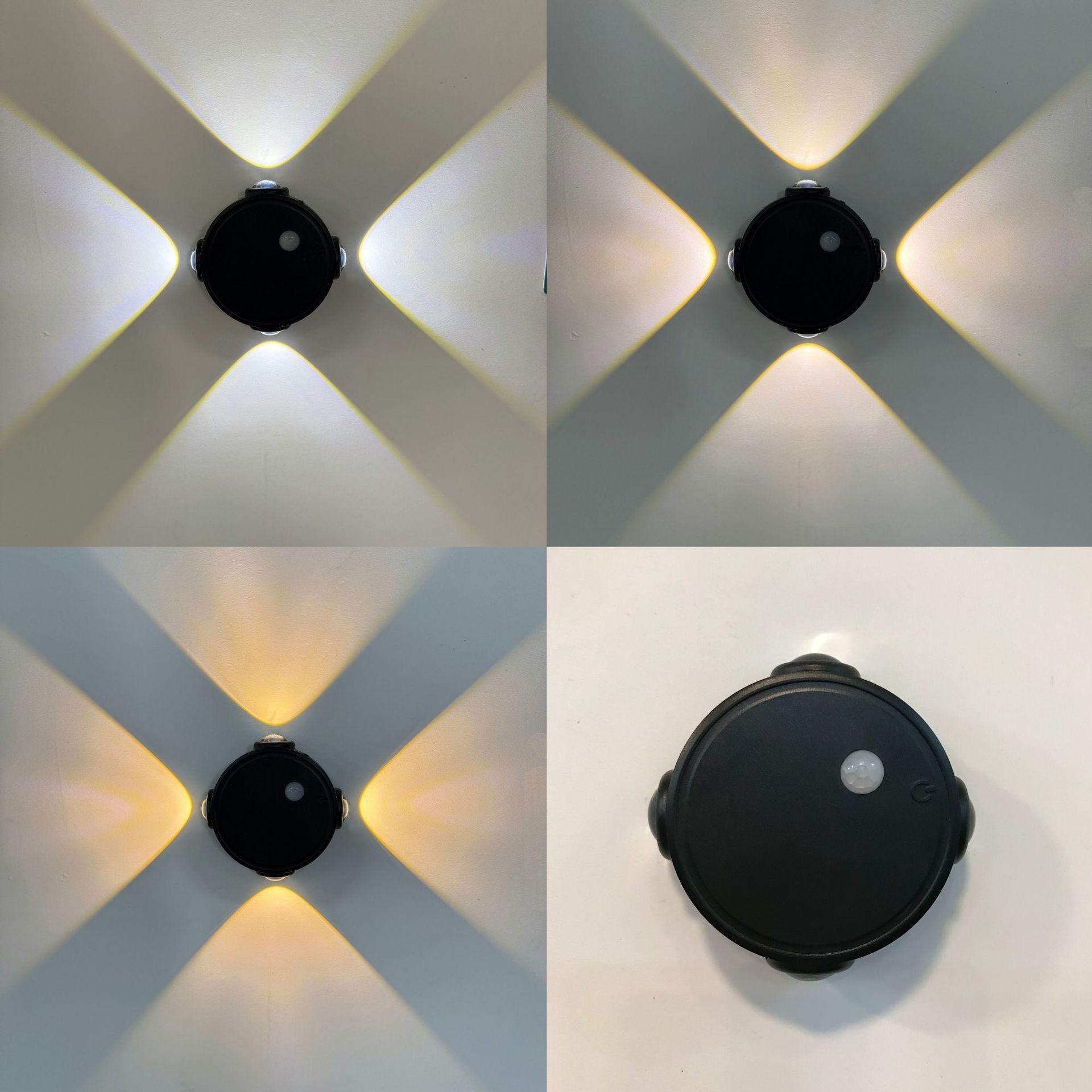Yeux de chat noirs à quatre têtes - tricolore