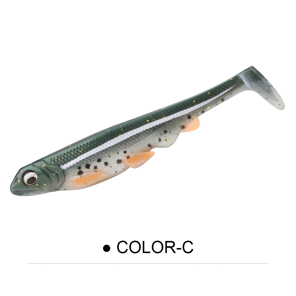 Multicolore-C
