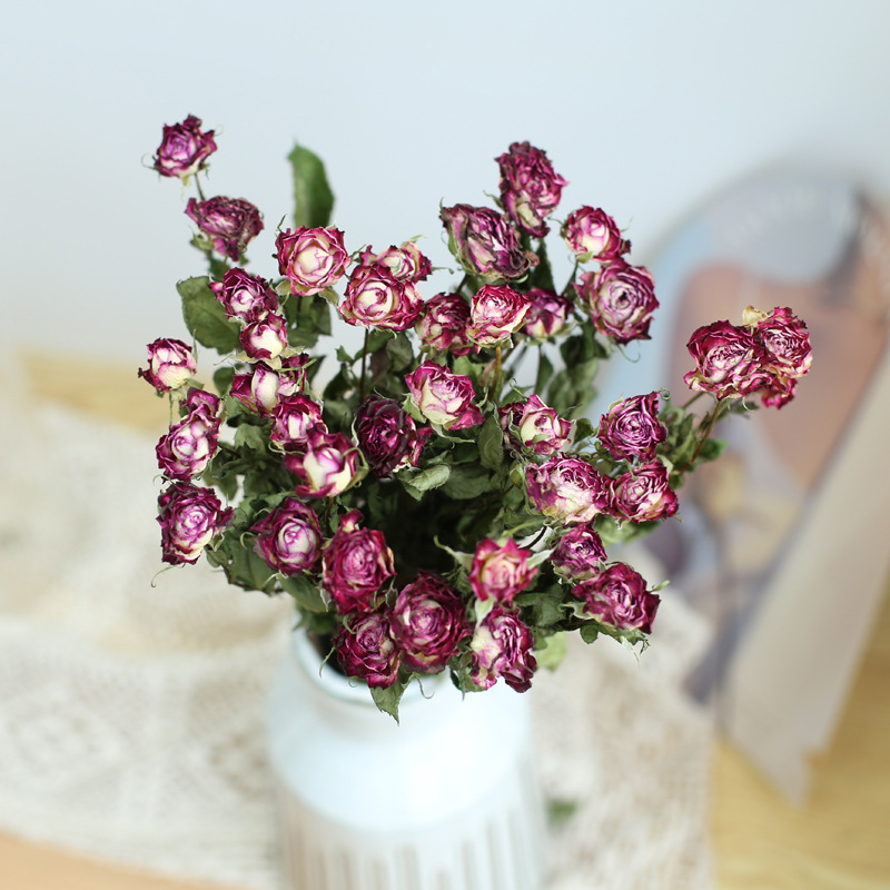 flores leo-30