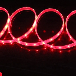 แถบไฟ Led RGB 12V 5050 WS2812 WS2812b,แถบไฟ LED สี RGB แอดเดรสแบบดิจิตอล SK6812พิกเซลเปลี่ยนสีได้ - Product Image 4