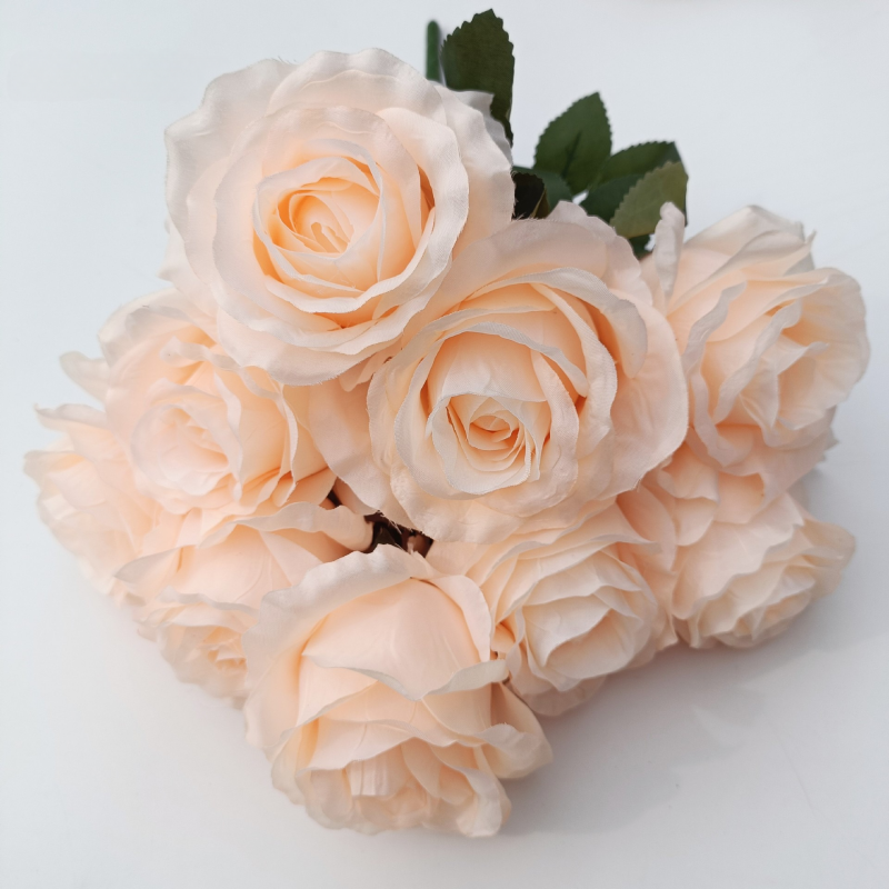 Champagne pink