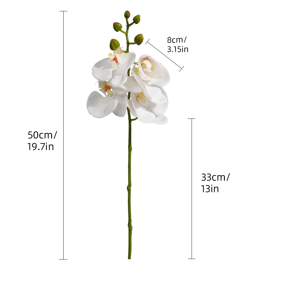 Blanc
