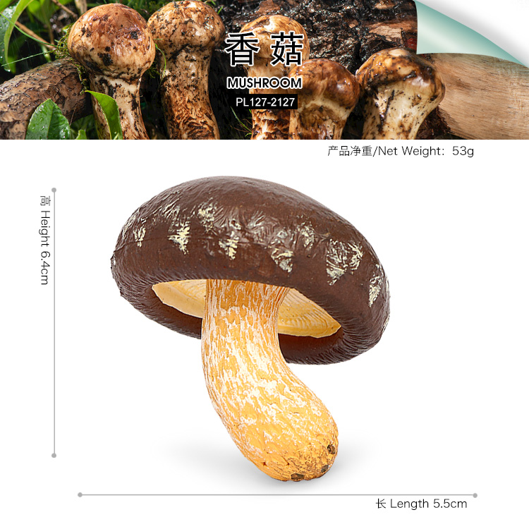 2127 Mushroom