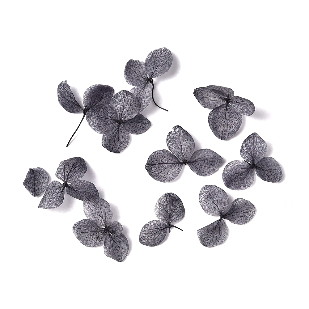Gray Hydrangea Petals