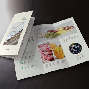 厂家直销定制纸张印刷服务折叠营销广告传单小册子小册子印刷 - Product Image 3
