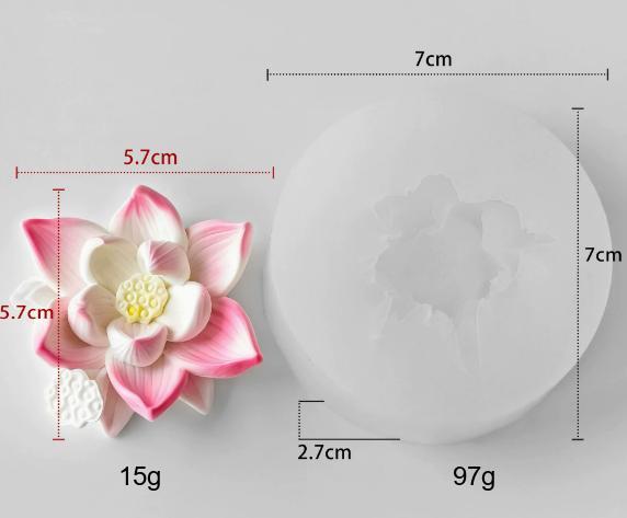 Lotus1304 Blanc