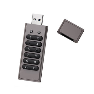 Best Selling Key Password Protection <strong>Flash</strong> Disk Digital <strong>Encrypted</strong> USB <strong>Flash</strong> Drive OEM ODM OBM Customazition - Product Image 6