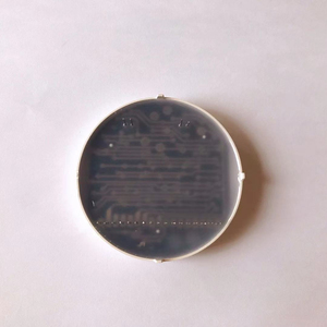 Benutzer definierter kleiner LED-Bildschirm mit Grafik typ mit sieben Segmenten - Product Image 2