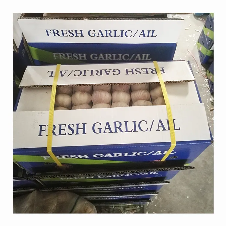 Gran oferta de ajo blanco normal fresco de 5,5 cm para exportación con GLOBAL GAP 2023 nuevo ajo blanco Natural de China no pelado para venta al por mayor