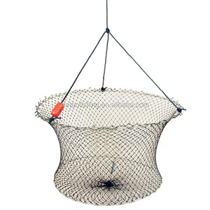 Thị trường Australia cua drop ròng, cua tôm hùm bẫy - Product Image 1