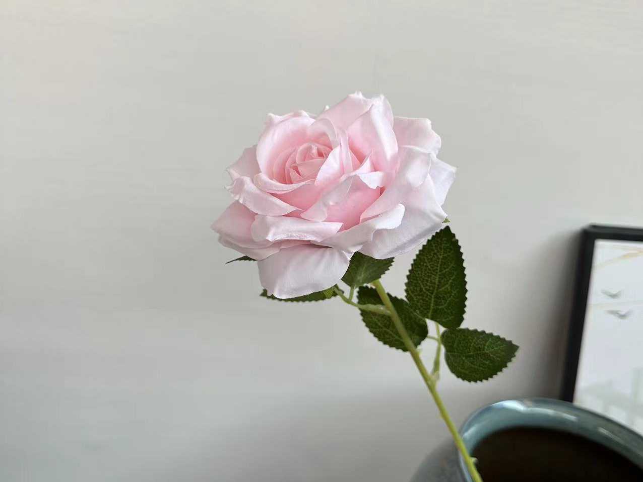 Rosa chiaro