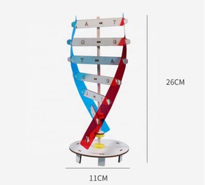 Montessori blok öğrenme kaynak DNA yapısı yapboz oyuncak duyusal istifleme insan gen modeli montaj bilim oyuncak - Product Image 6