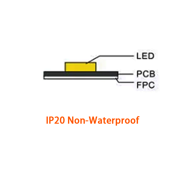 IP20