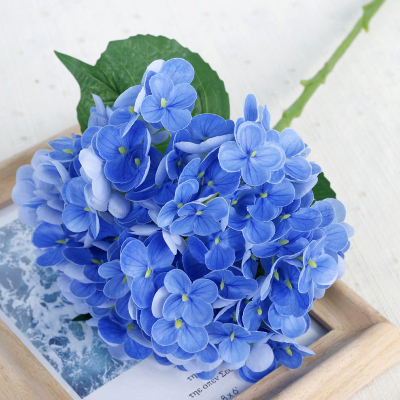 สีน้ำเงิน