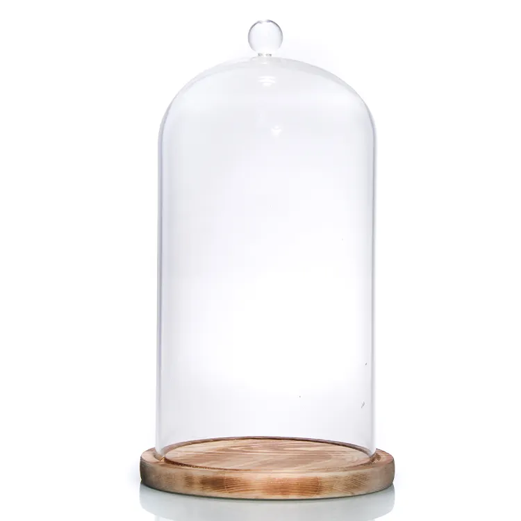 Cupola in vetro trasparente con copertura in vetro decorativo Cloche in vetro stampato personalizzato per imballaggio