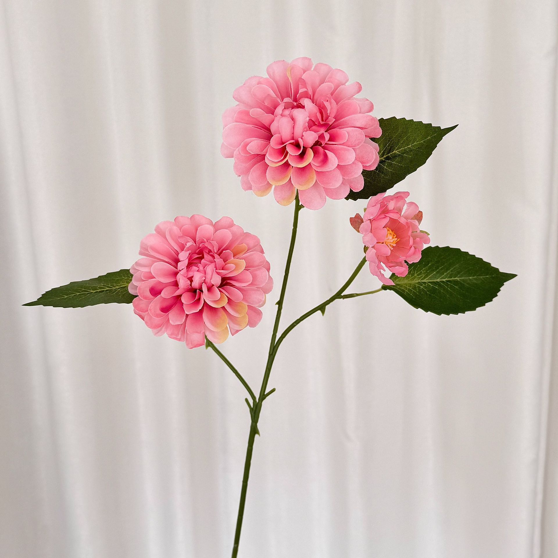 Rose foncé