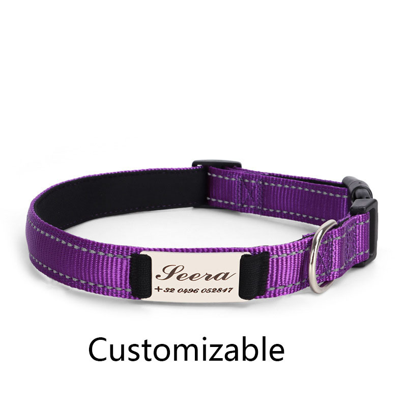 Dark Purple