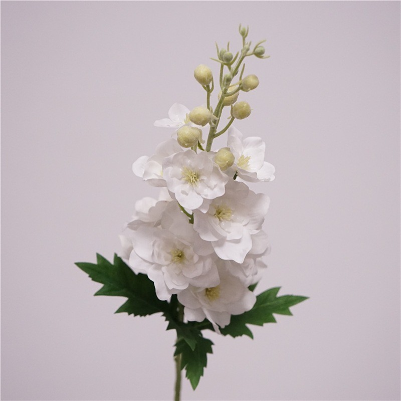 Delphinium Real Touch - Bianco