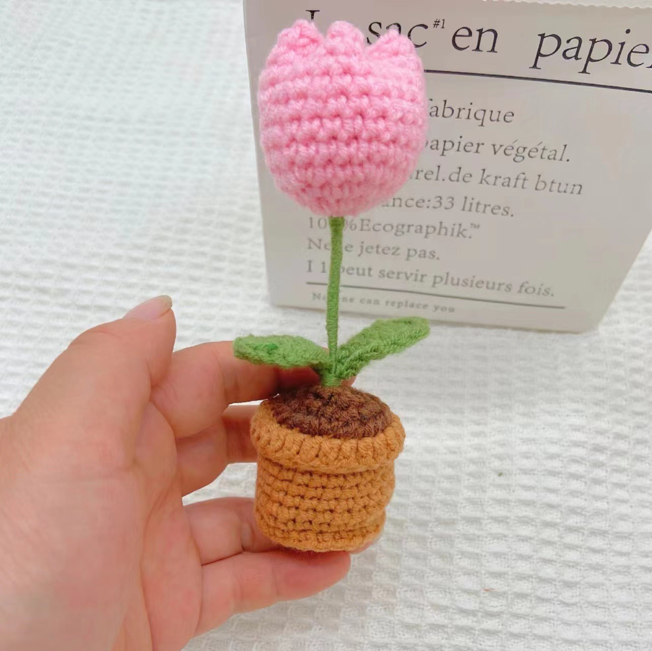 Mini plante en pot tulipe rose finie
