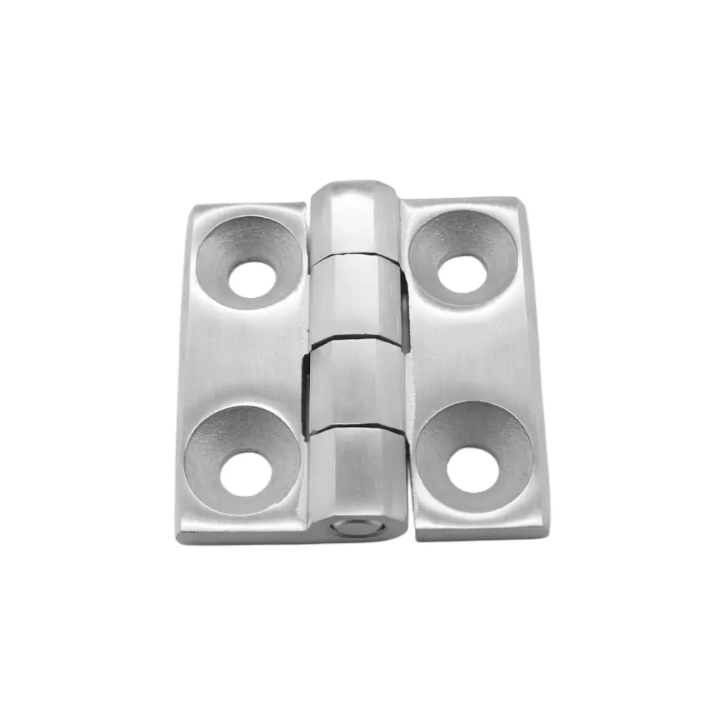 S.S 60X60mm leaf cabinet enclosure hinge with holes