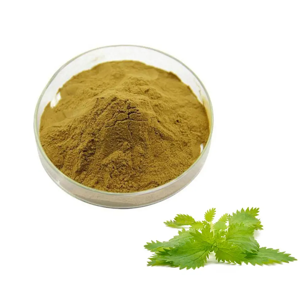 Hot Selling Supply 100% Natural Nettle Root Extract Powder Nettle Root Powder