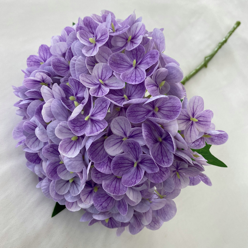 lilas