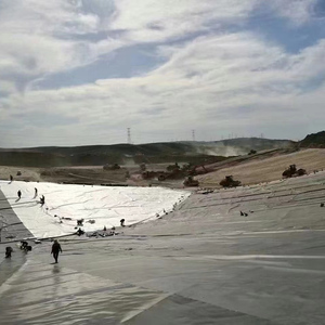 Doğrudan fabrika fiyat çin ile 0.3m genişlik HDPE geomembran - Product Image 2