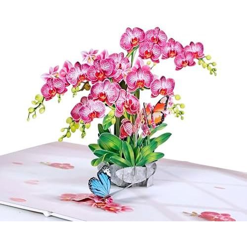 Orquídea