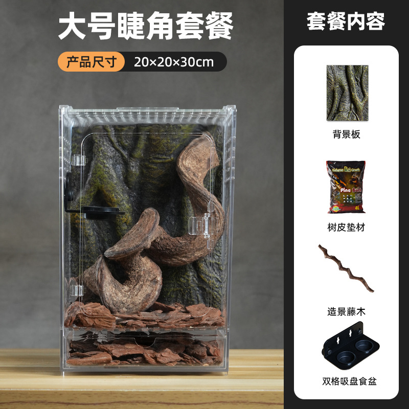 Paquet de gecko pour cils D