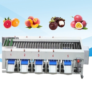 <strong>High</strong> <strong>Efficiency</strong> Commercial Fruit Size Grading Sorting Machine Roller Type Fruit <strong>Classifier</strong> Machine - Product Image 3