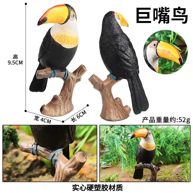 Toucan M-504