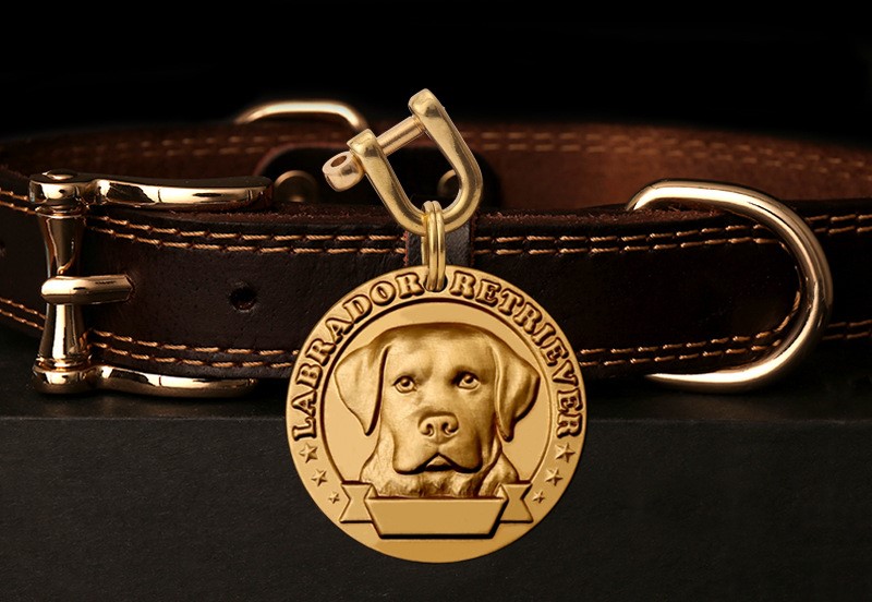 Labrador