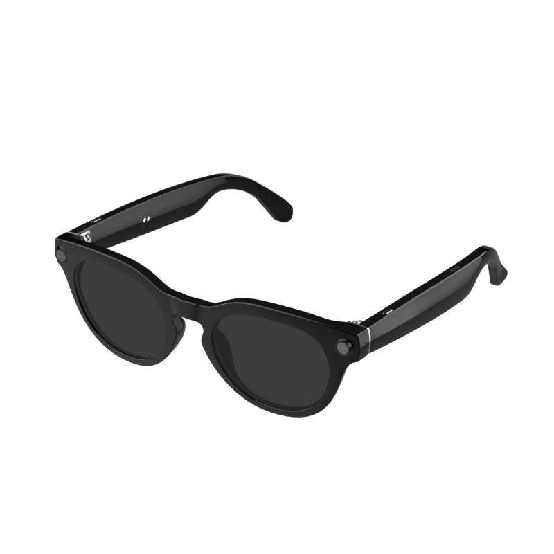 Verres de lunettes de soleil noirs