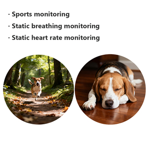 Xexun OEM ODM Long Standby Time Animal Gps <span class=keywords><strong>Tracker</strong></span> Monitor de Saúde Esportiva Localizador Gps Collar para Animais de Estimação Cat 4g - Product Image 3