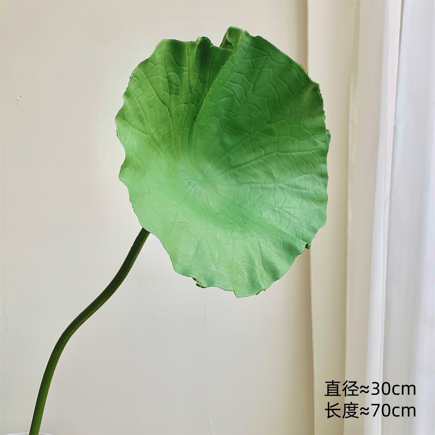 Une grande feuille de lotus