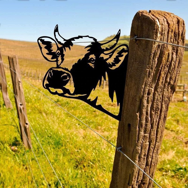 Vaca 2