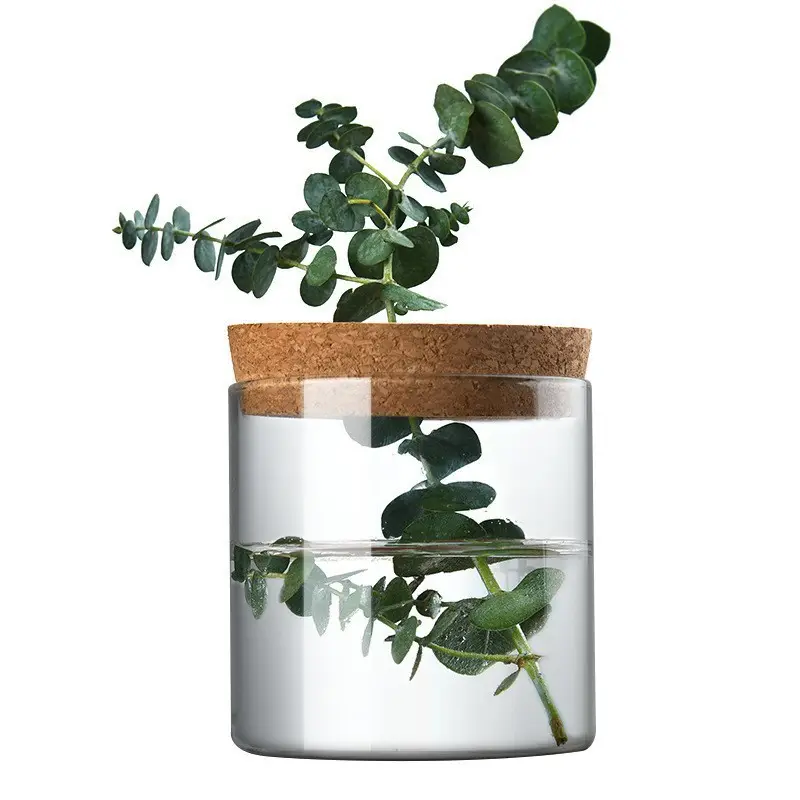 Plantas aquáticas para casa e jardim, vaso e garrafa de vidro para escritório, arranjo hidropônico de mesa e flores em vários tamanhos