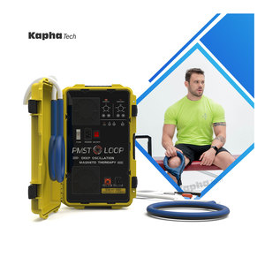 Magnetoterapia-Therapie PEMF Equine PMST Loop für Pferd Gauß-Therapie Geräte therapie Emtt Device - Product Image 1