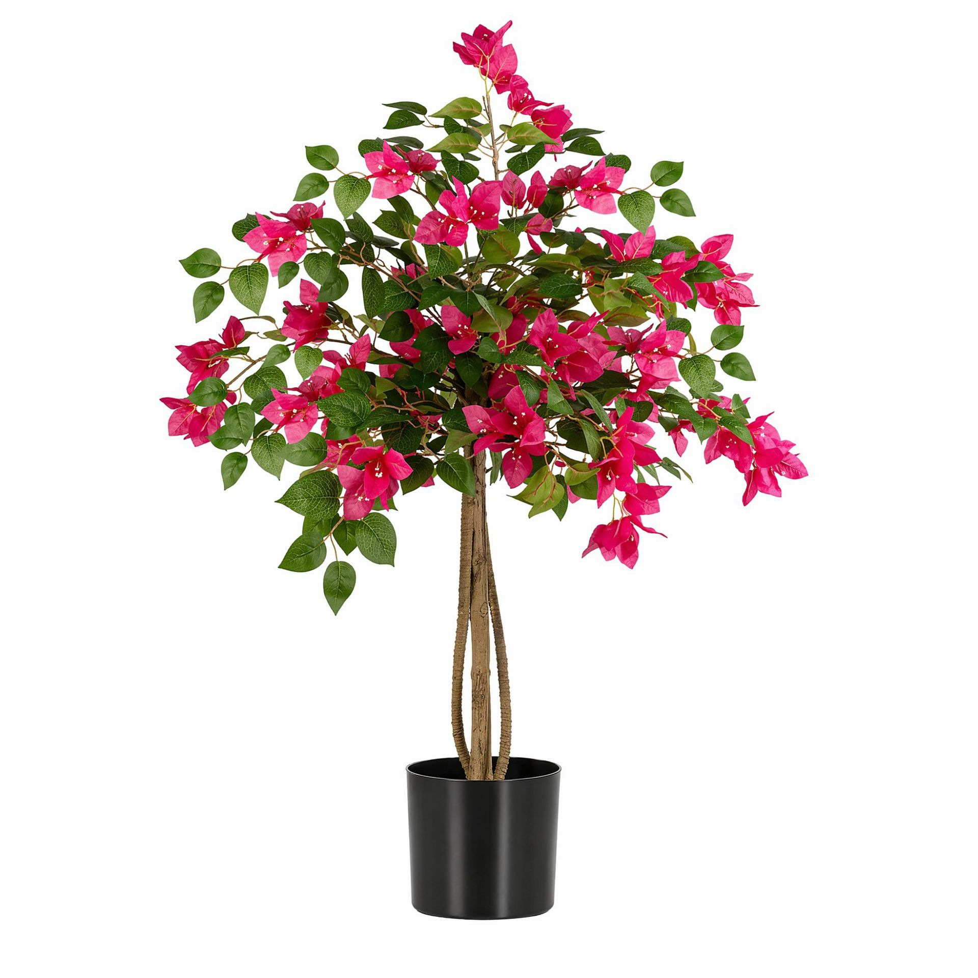 albero di bouganville rosso