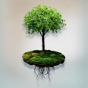 目に見える根を持つ人工植物の木をぶら下げている露出した木の根 - Product Image 2